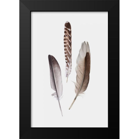 Feathers III Black Modern Wood Framed Art Print by PI Studio
