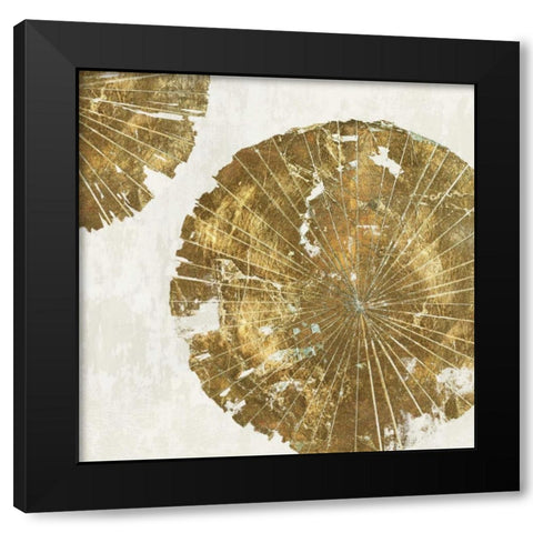 Gold Plate I Black Modern Wood Framed Art Print with Double Matting by PI Studio