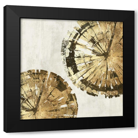 Gold Plate III Black Modern Wood Framed Art Print with Double Matting by PI Studio
