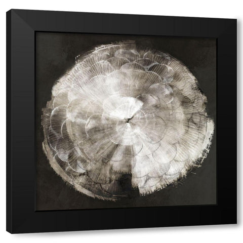 Touch of Darkened Silver  Black Modern Wood Framed Art Print with Double Matting by PI Studio