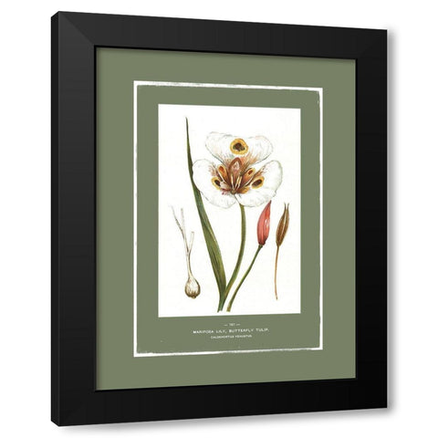 Green Botanics I  Black Modern Wood Framed Art Print with Double Matting by PI Studio