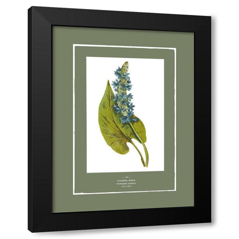 Green Botanics II Black Modern Wood Framed Art Print with Double Matting by PI Studio