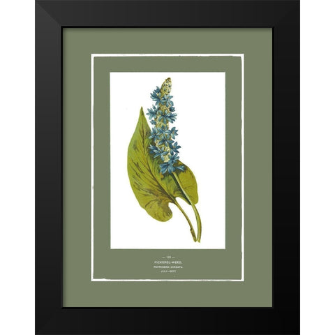 Green Botanics II Black Modern Wood Framed Art Print by PI Studio