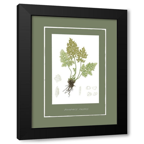 Green Botanics III Black Modern Wood Framed Art Print by PI Studio