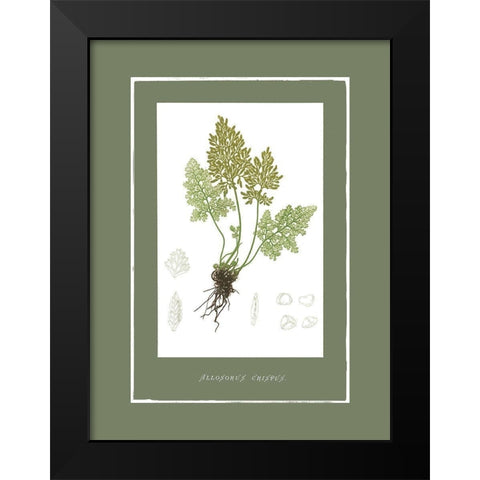 Green Botanics III Black Modern Wood Framed Art Print by PI Studio