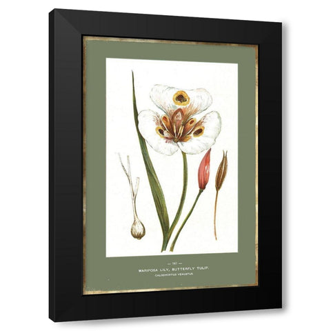 Green Botanics IV Black Modern Wood Framed Art Print with Double Matting by PI Studio