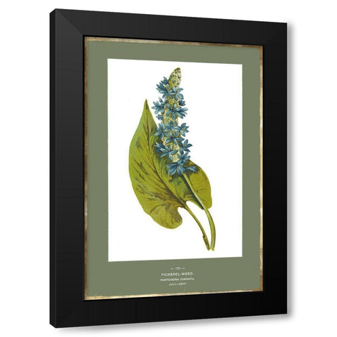 Green Botanics V Black Modern Wood Framed Art Print by PI Studio