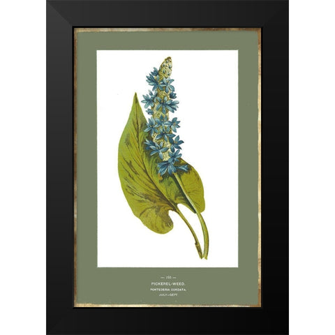 Green Botanics V Black Modern Wood Framed Art Print by PI Studio