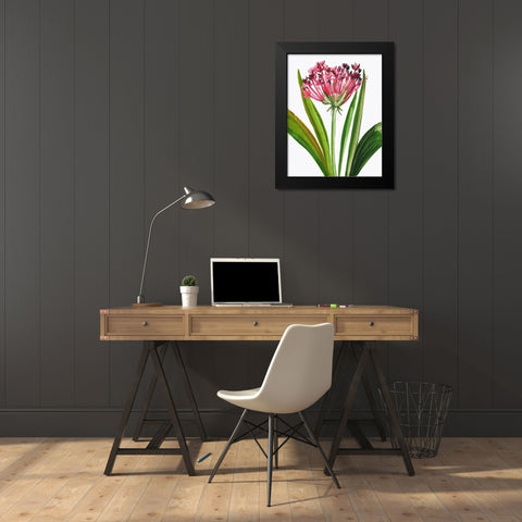Blooming Pink Black Modern Wood Framed Art Print by Pi Studio