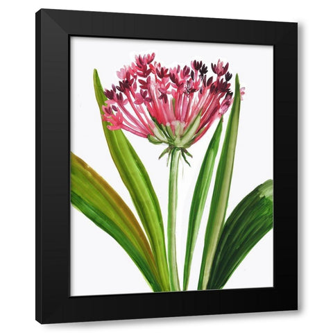 Blooming Pink Black Modern Wood Framed Art Print with Double Matting by Pi Studio