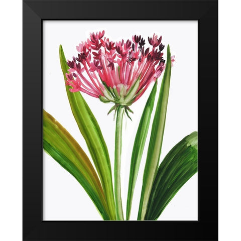 Blooming Pink Black Modern Wood Framed Art Print by Pi Studio