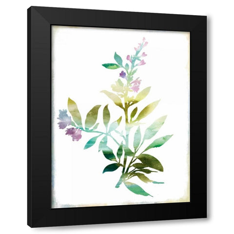 Summer Botanical III Black Modern Wood Framed Art Print by PI Galerie