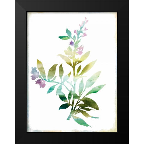 Summer Botanical III Black Modern Wood Framed Art Print by PI Galerie