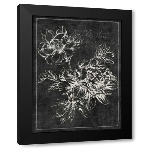 Black Botanical I Black Modern Wood Framed Art Print with Double Matting by PI Galerie
