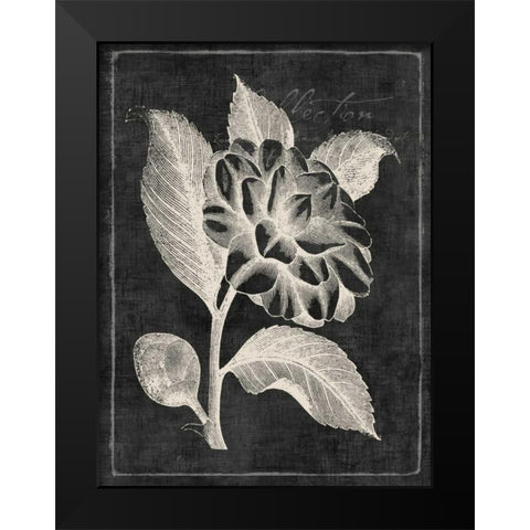 Black Botanical II Black Modern Wood Framed Art Print by PI Galerie