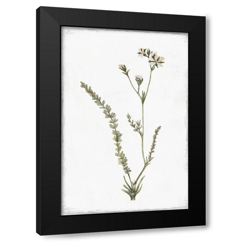 Little Flower I Black Modern Wood Framed Art Print with Double Matting by Pi Studio