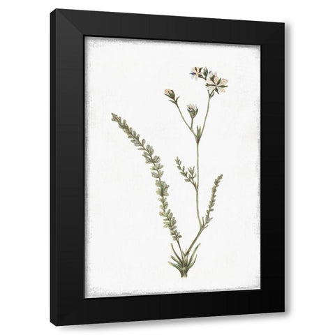 Little Flower I Black Modern Wood Framed Art Print by Pi Studio