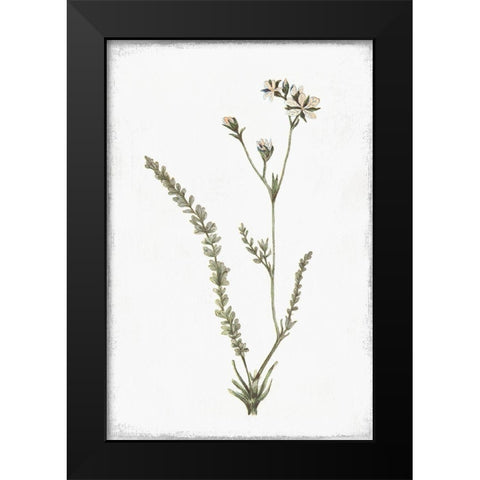 Little Flower I Black Modern Wood Framed Art Print by Pi Studio