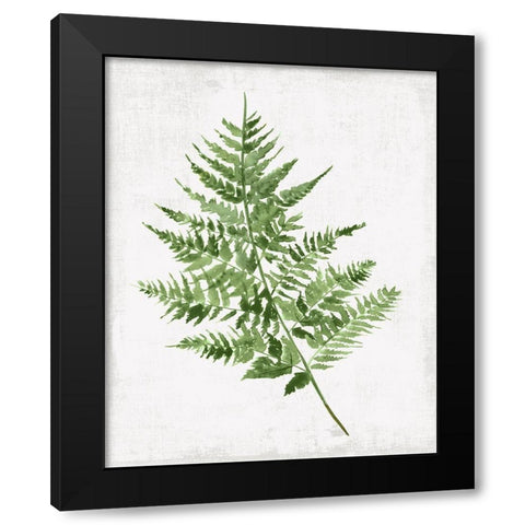 Fern Pressing II Black Modern Wood Framed Art Print with Double Matting by PI Studio