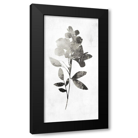 PI Studio Black Modern Wood Framed Art Print by A Shadow Of A Flower I