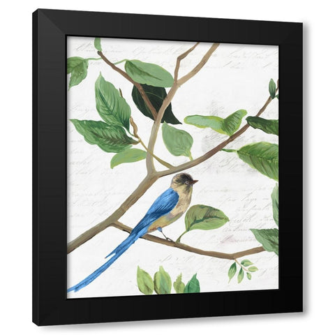 Spring Bird II Black Modern Wood Framed Art Print by PI Studio