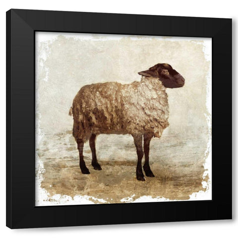 Sheep white border Black Modern Wood Framed Art Print with Double Matting by PI Studio