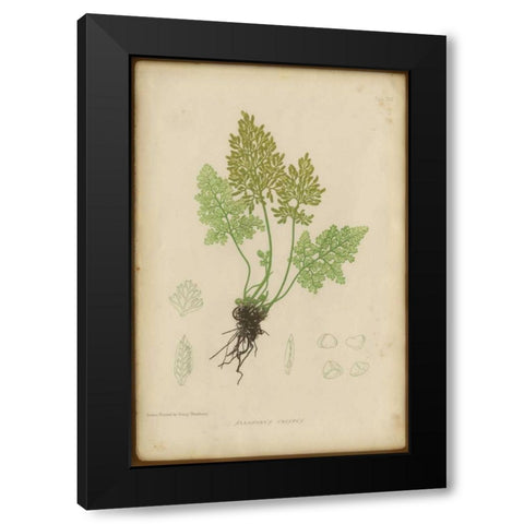 Roots  Black Modern Wood Framed Art Print by PI Collection