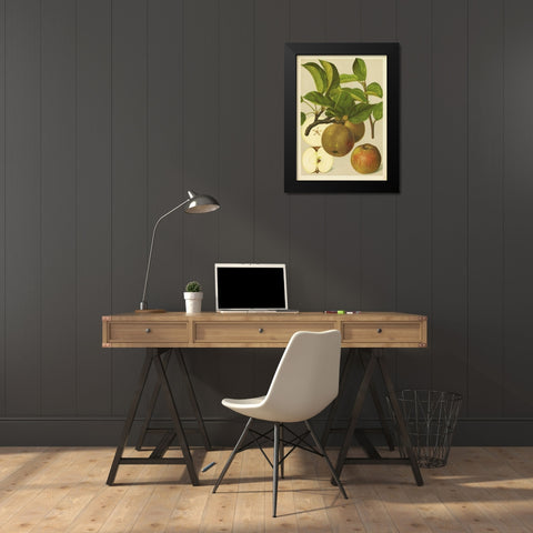 Russet Apples I Black Modern Wood Framed Art Print by PI Collection