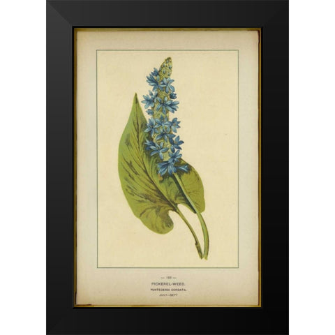 Pickerel Weed Black Modern Wood Framed Art Print by PI Collection