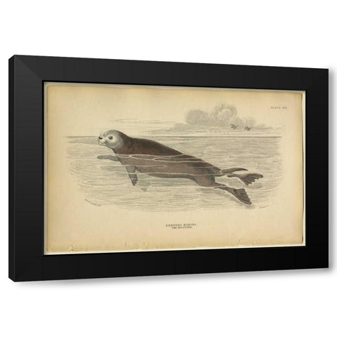 Sea Otter Black Modern Wood Framed Art Print by PI Collection