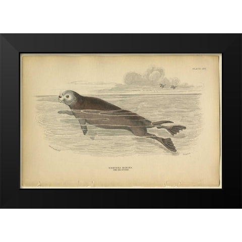 Sea Otter Black Modern Wood Framed Art Print by PI Collection