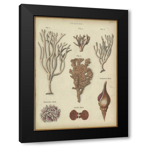 Sponge Black Modern Wood Framed Art Print with Double Matting by PI Collection
