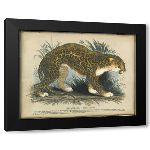 Leopard Black Modern Wood Framed Art Print with Double Matting by PI Collection