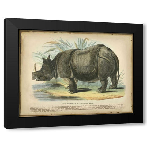 Rhino Black Modern Wood Framed Art Print by PI Collection