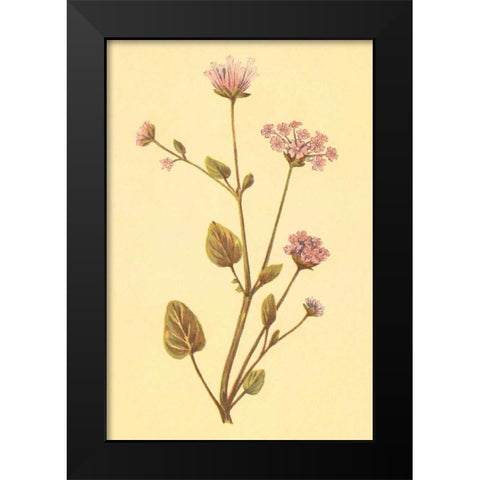 Abronia Turbinata Black Modern Wood Framed Art Print by PI Collection