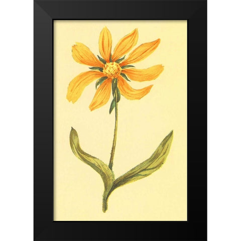 Arizona Wyethia Black Modern Wood Framed Art Print by PI Collection