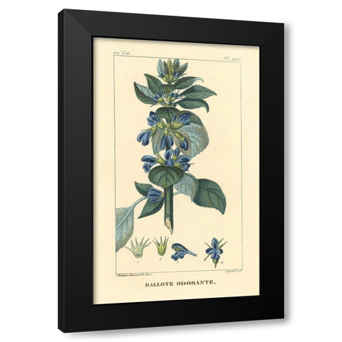 Ballote Oderante Black Modern Wood Framed Art Print by PI Collection