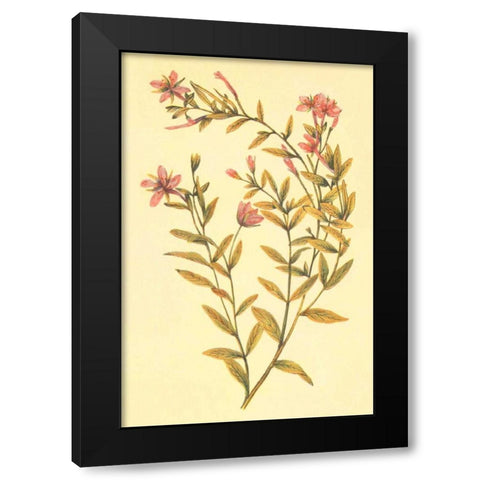 Broad Leaved Fireweed Black Modern Wood Framed Art Print with Double Matting by PI Collection