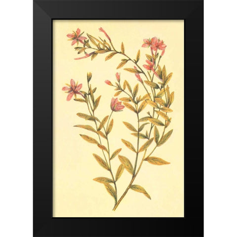 Broad Leaved Fireweed Black Modern Wood Framed Art Print by PI Collection