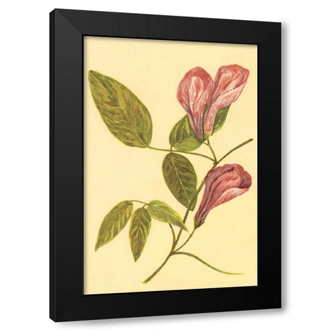Butterfly Pea Black Modern Wood Framed Art Print by PI Collection