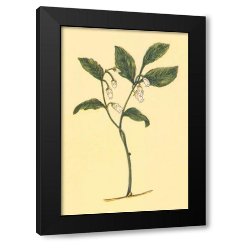 Checkerberry Black Modern Wood Framed Art Print with Double Matting by PI Collection