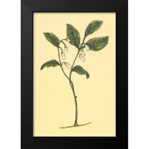 Checkerberry Black Modern Wood Framed Art Print by PI Collection