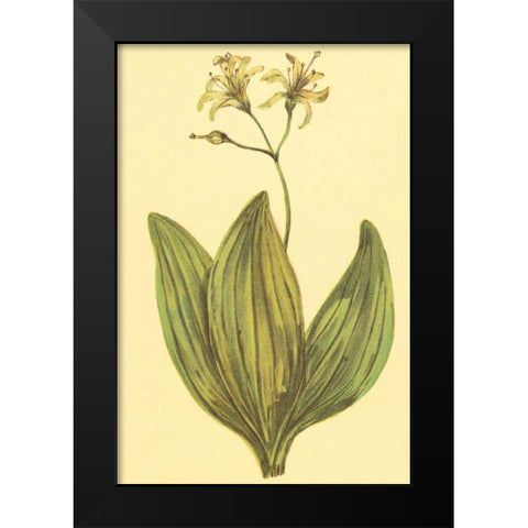 Clintonia Black Modern Wood Framed Art Print by PI Collection