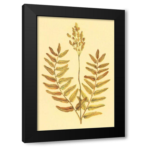 Flowering Fern Black Modern Wood Framed Art Print by PI Collection