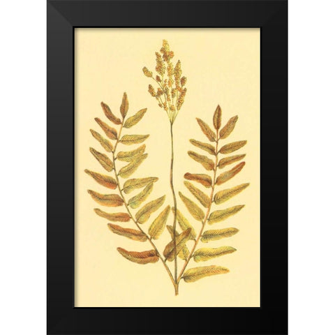 Flowering Fern Black Modern Wood Framed Art Print by PI Collection