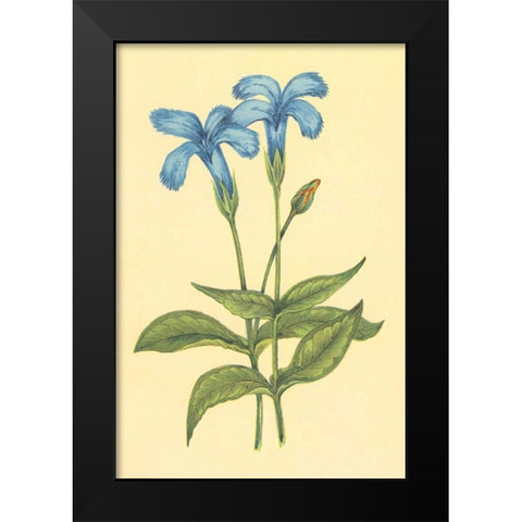 Finged Gentian Black Modern Wood Framed Art Print by PI Collection