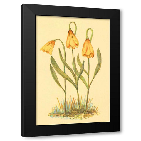Fritillary Black Modern Wood Framed Art Print with Double Matting by PI Collection