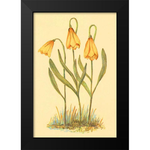 Fritillary Black Modern Wood Framed Art Print by PI Collection