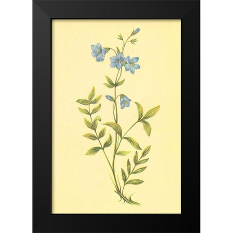 Greek Valerian Black Modern Wood Framed Art Print by PI Collection