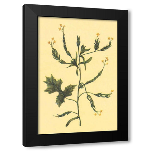 Hedge Mustard Black Modern Wood Framed Art Print with Double Matting by PI Collection